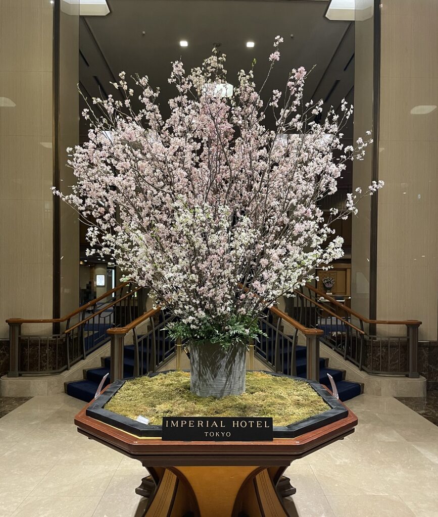 帝国ホテルの桜