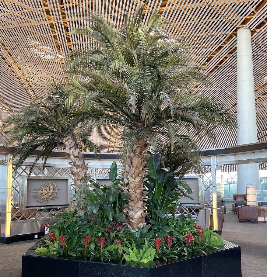 ラウンジ内のヤシの木