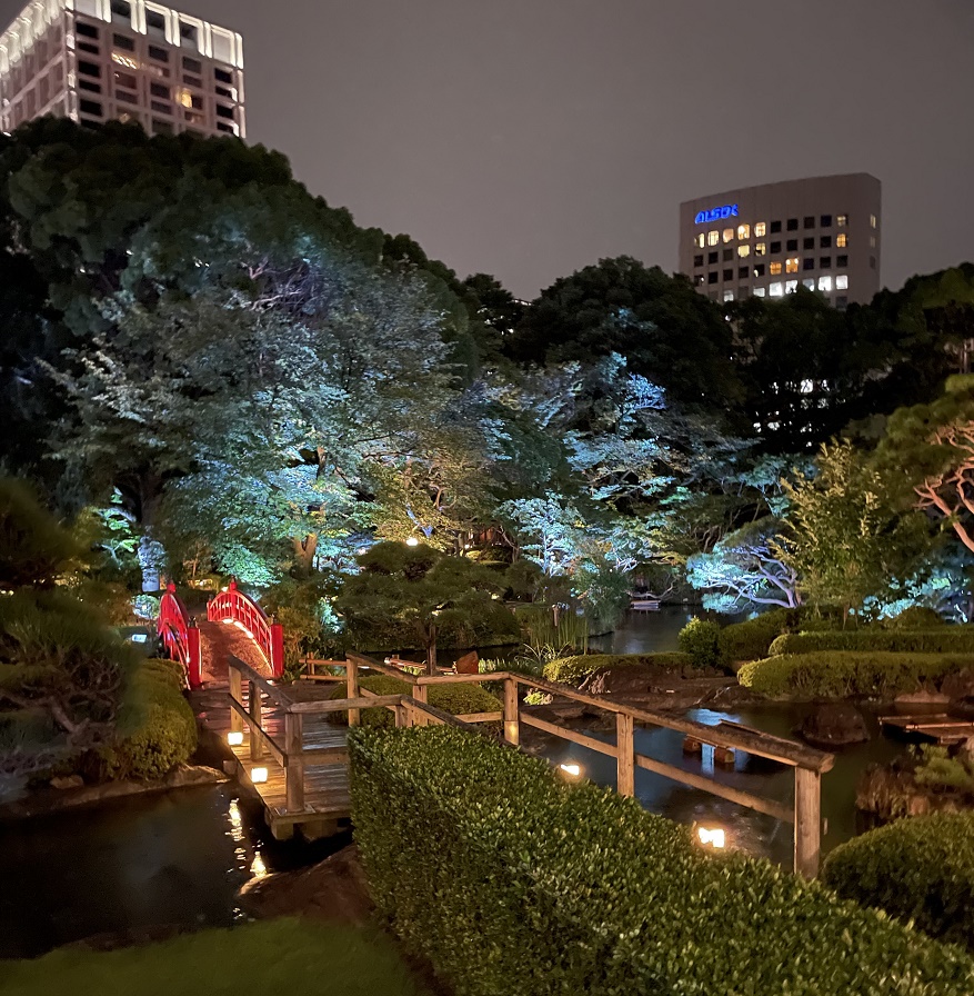 日本庭園のライトアップ