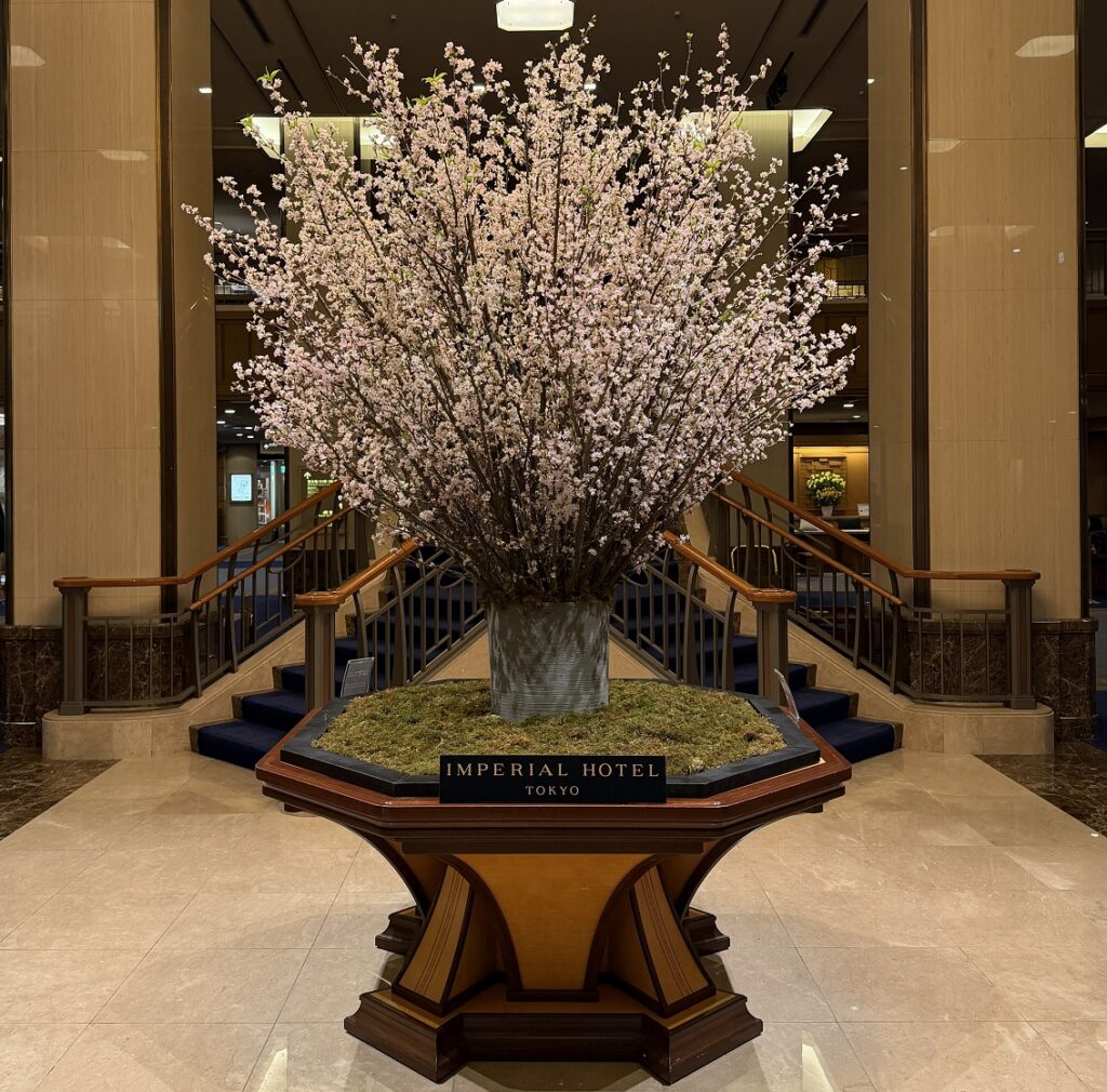 帝国ホテル東京の桜
